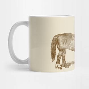 Draft Horse Mare Vintage Illustration Mug